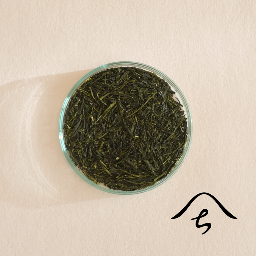 山霧 l SNOWING MOUNTAIN TEA(八女)