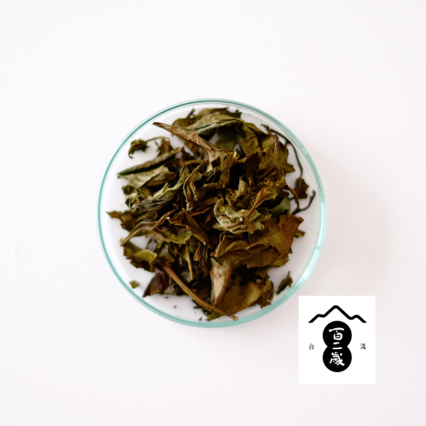 台湾白茶 百二歳 PAH JI HUE