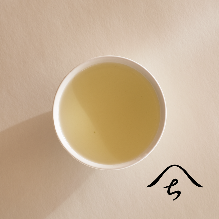 山霧 l SNOWING MOUNTAIN TEA(八女)