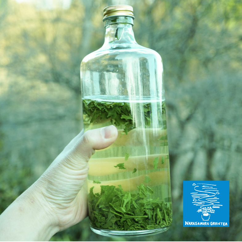 中井侍銘茶 (浅蒸し煎茶) l 長野天龍村